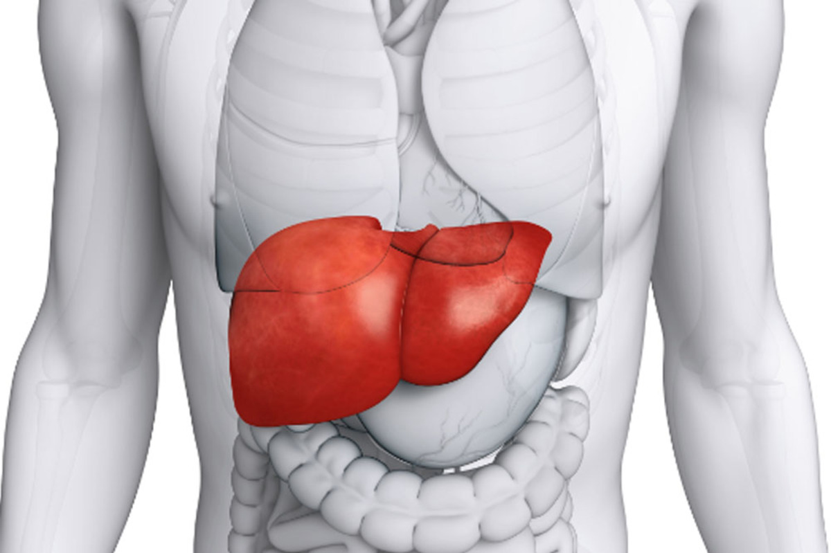 hepatitis világnap