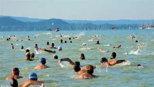 Balaton-átúszás
