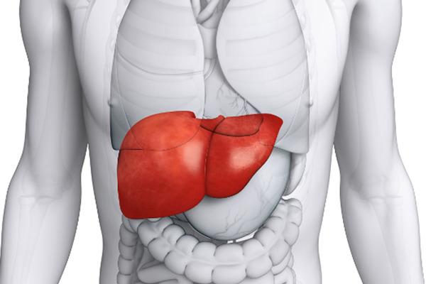 hepatitis világnap