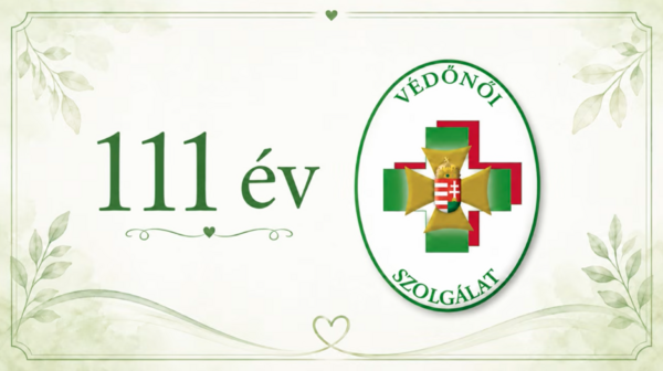 vedonok111.png